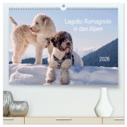 Cover-Bild zum Titel 'Lagotto Romagnolo in den Alpen 2026 (hochwertiger Premium Wandkalender 2026 DIN A2 quer), Kunstdruck in Hochglanz' von 'Wuffclick-Pic Wuffclick-Pic'