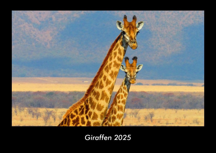 Giraffen 2025 Fotokalender DIN A3 - Tobias Becker
