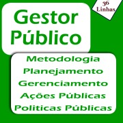 Cover-Bild zum Titel 'Gestor Público' von 'Ricardo Garay'