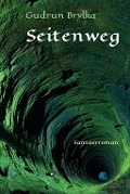 Cover-Bild zum Titel 'Seitenweg' von 'Gudrun Brylka'
