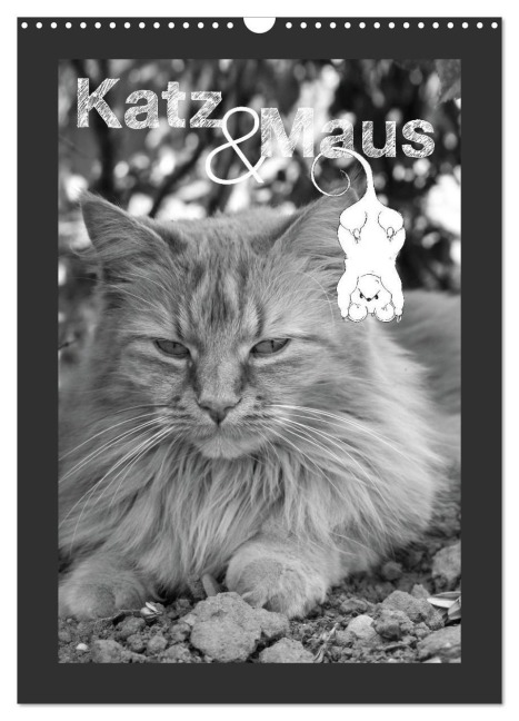 Katz & Maus (Wandkalender 2026 DIN A3 hoch), CALVENDO Monatskalender - Julia Schäfer