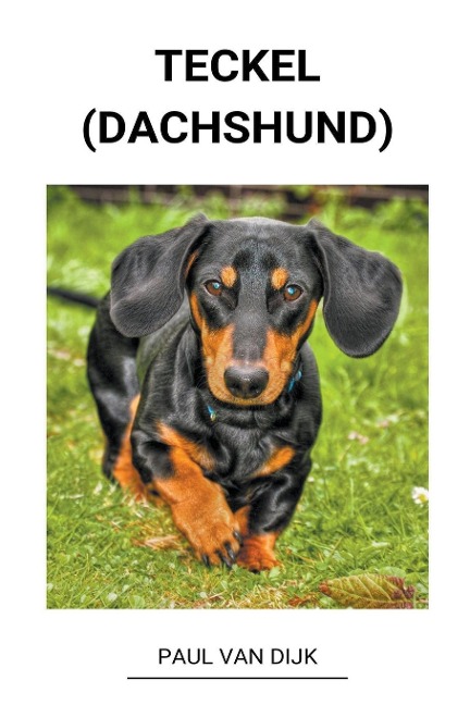 Teckel (dachshund) - Paul van Dijk