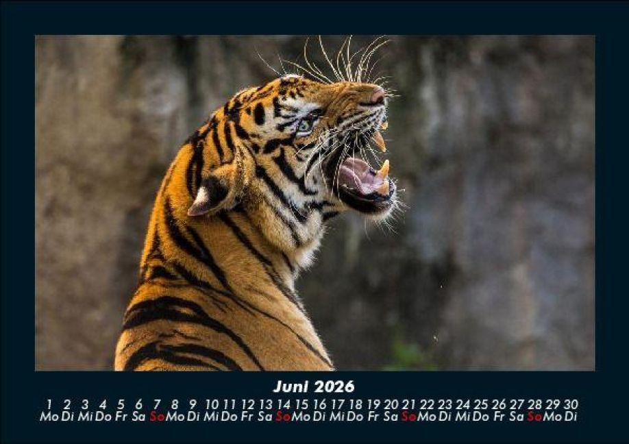 InsideView 10