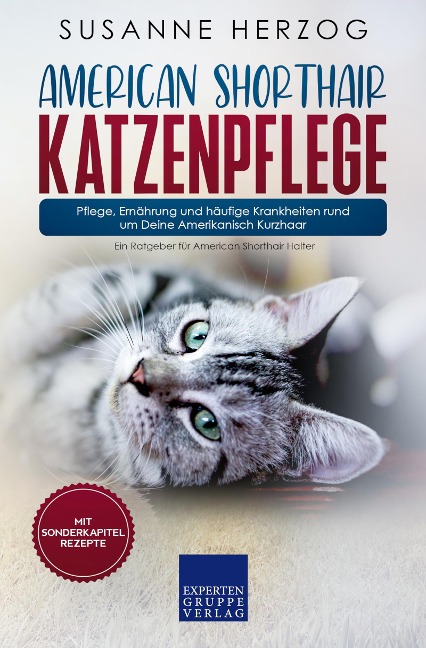 American Shorthair Katzenpflege - Pflege, Ernährung und häufige Krankheiten rund um Deine Amerikanisch Kurzhaar - Susanne Herzog