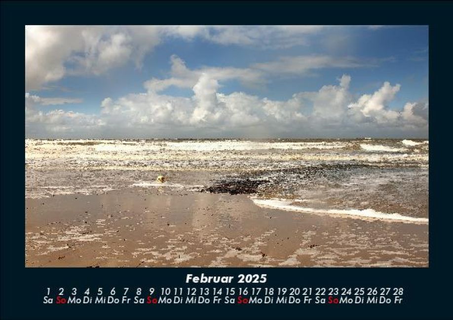 InsideView 6