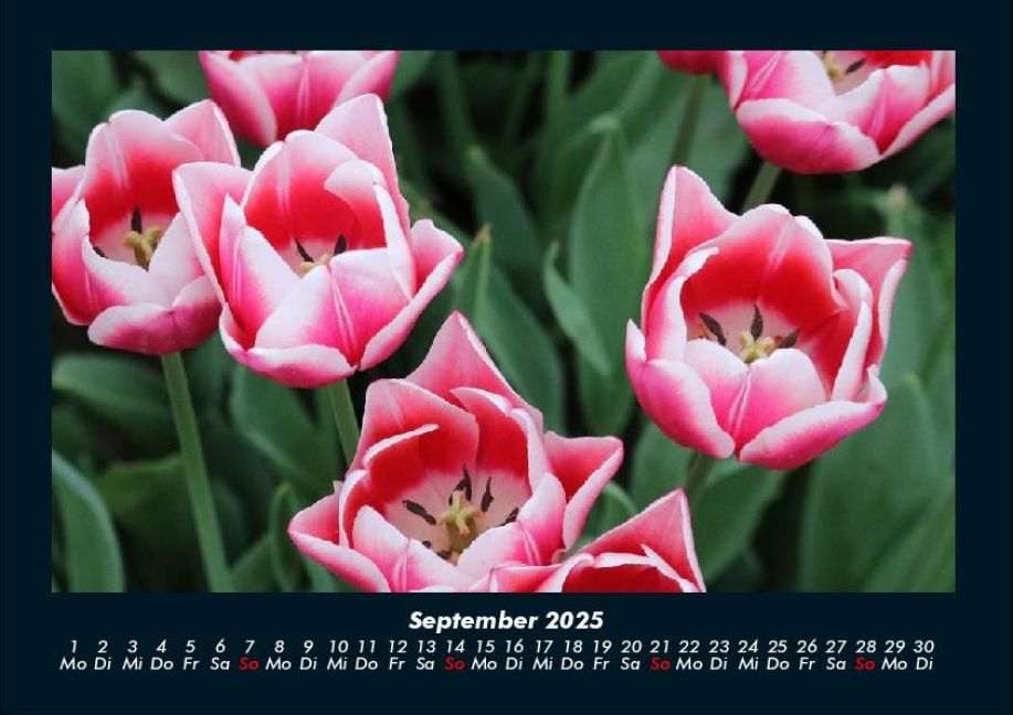 InsideView 1