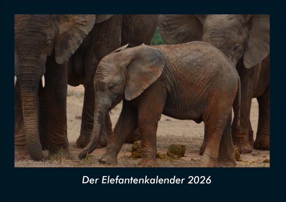 Der Elefantenkalender 2026 Fotokalender DIN A4 - Kevin Heber, Tobias Schmitt