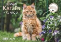 DUMONTS Katzenkalender 2025 - Broschürenkalender - Wandkalender - mit Schulferienterminen - Format 42 x 29 cm - 