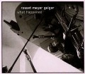 Cover-Bild zum Titel 'what happened' von 'Rosset Meyer Geiger'