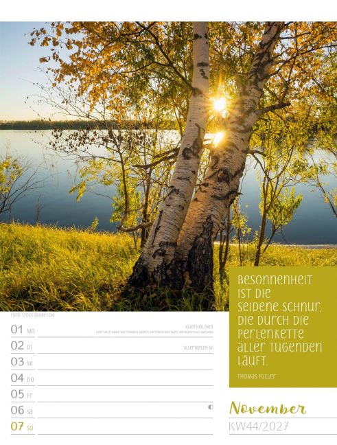 InsideView 48