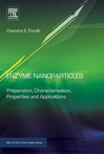 Enzyme Nanoparticles - Chandra S. Pundir