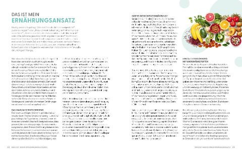 InsideView 4