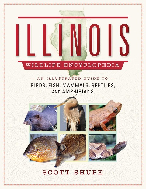 Illinois Wildlife Encyclopedia: An Illustrated Guide to Birds, Fish, Mammals, Reptiles, and Amphibians - Scott Shupe