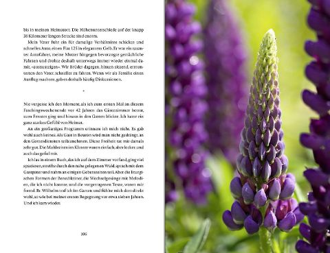 InsideView 19