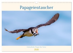 Cover-Bild zum Titel 'Papageientaucher - Farbenfrohe Flieger der Natur (Wandkalender 2026 DIN A3 quer), CALVENDO Monatskalender' von 'Ellenlichtenheldt Ellenlichtenheldt'