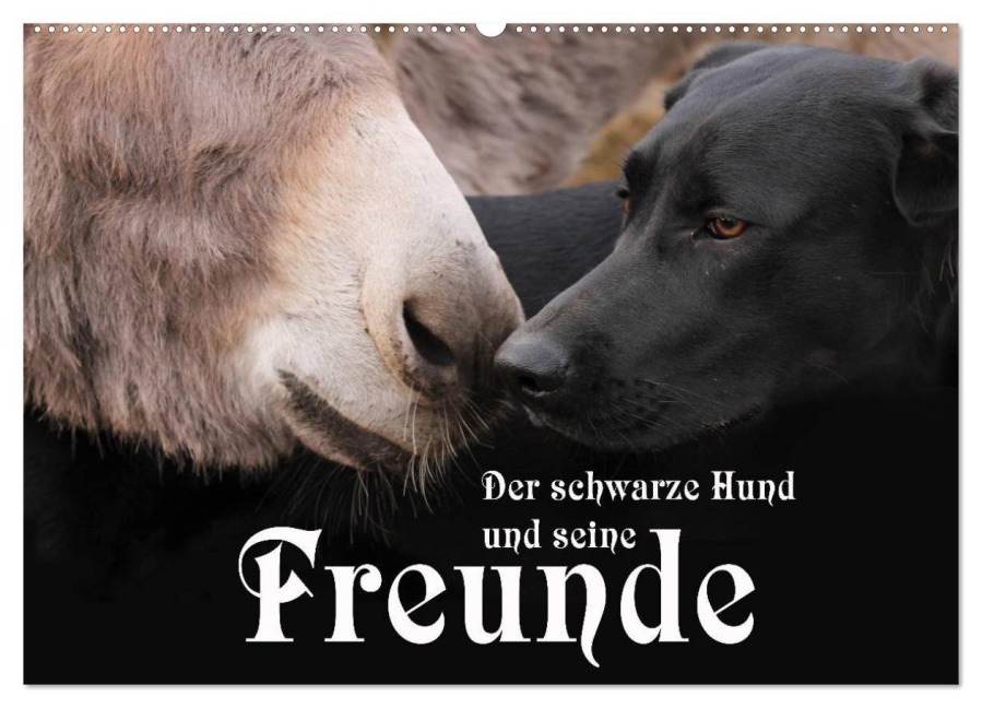 Der schwarze Hund und seine Freunde (Wandkalender 2026 DIN A2 quer), CALVENDO Monatskalender - Michael Gsödl