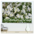 Blütentanz in Weiß (hochwertiger Premium Wandkalender 2025 DIN A2 quer), Kunstdruck in Hochglanz - Gisela Kruse