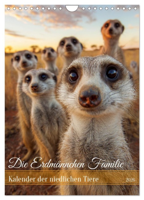 Die Erdmännchen Familie - Kalender der niedlichen Tiere (Wandkalender 2026 DIN A4 hoch), CALVENDO Monatskalender - Mb Fotografie