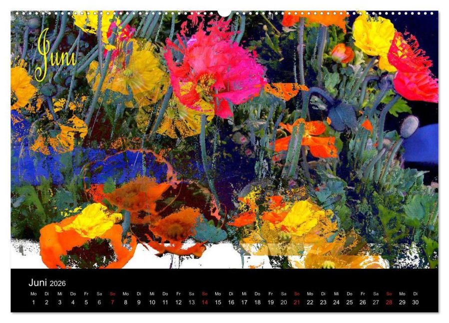 InsideView 11