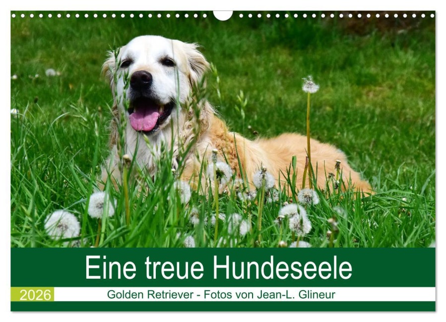 Eine treue Hundeseele - Golden Retriever (Wandkalender 2026 DIN A3 quer), CALVENDO Monatskalender - Jean-Louis Glineur