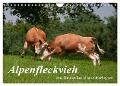 Alpenfleckvieh (Wandkalender 2025 DIN A4 quer), CALVENDO Monatskalender - Karolina Gasteiger