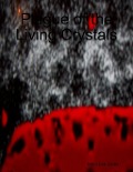 Cover-Bild zum Titel 'Plague of the Living Crystals' von 'Barry Lee Jones'