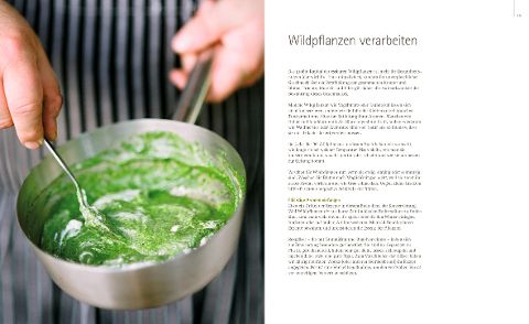 InsideView 3