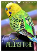 Cover-Bild zum Titel 'Süße Wellensittiche (Wandkalender 2026 DIN A4 hoch), CALVENDO Monatskalender' von 'Renate Utz'