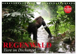Regenwald. Tiere im Dschungel (Wandkalender 2026 DIN A4 quer), CALVENDO Monatskalender - Elisabeth Stanzer