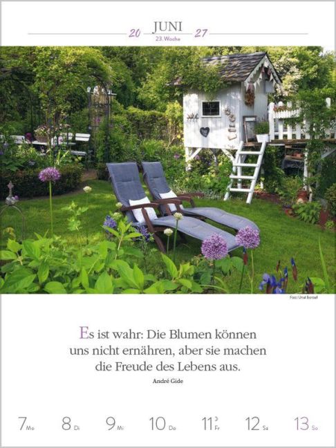 InsideView 8