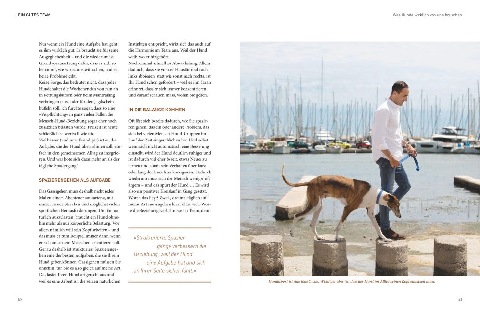 InsideView 6