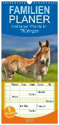 Familienplaner 2025 - Haflinger Pferde in Thüringen mit 5 Spalten (Wandkalender, 21 x 45 cm) CALVENDO - Torsten Irmer