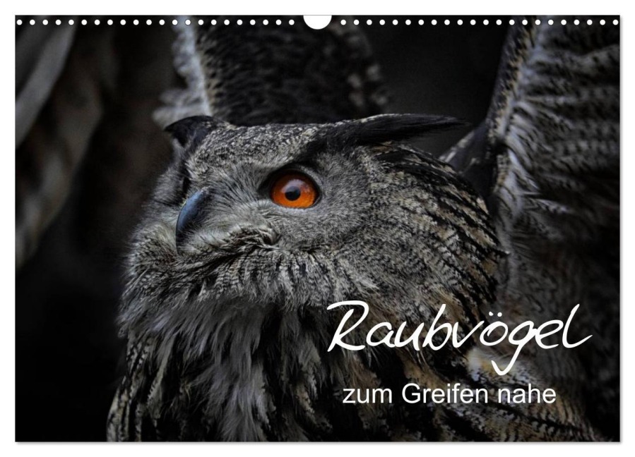 Raubvögel zum Greifen nahe (Wandkalender 2026 DIN A3 quer), CALVENDO Monatskalender - Michael Milfeit