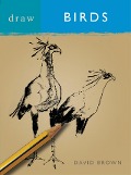 Cover-Bild zum Titel 'Draw Birds' von 'David Brown'