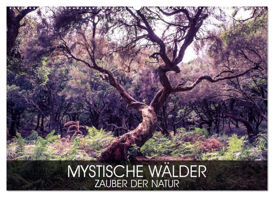 Mystische Wälder - Zauber der Natur (Wandkalender 2025 DIN A2 quer), CALVENDO Monatskalender - Val Thoermer