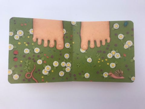 InsideView 5