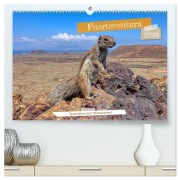 Fuerteventura - Faszination einer Wüsteninsel (hochwertiger Premium Wandkalender 2026 DIN A2 quer), Kunstdruck in Hochglanz - Peter Balan