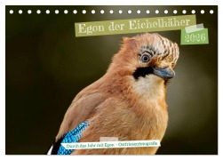 Cover-Bild zum Titel 'Egon der Eichelhäher - Durch das Jahr mit Egon - von Ostfriesenfotografie (Tischkalender 2026 DIN A5 quer), CALVENDO Monatskalender' von 'Christina Worch - Ostfriesenfotografie'
