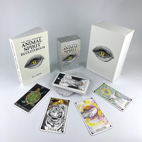 InsideView 13