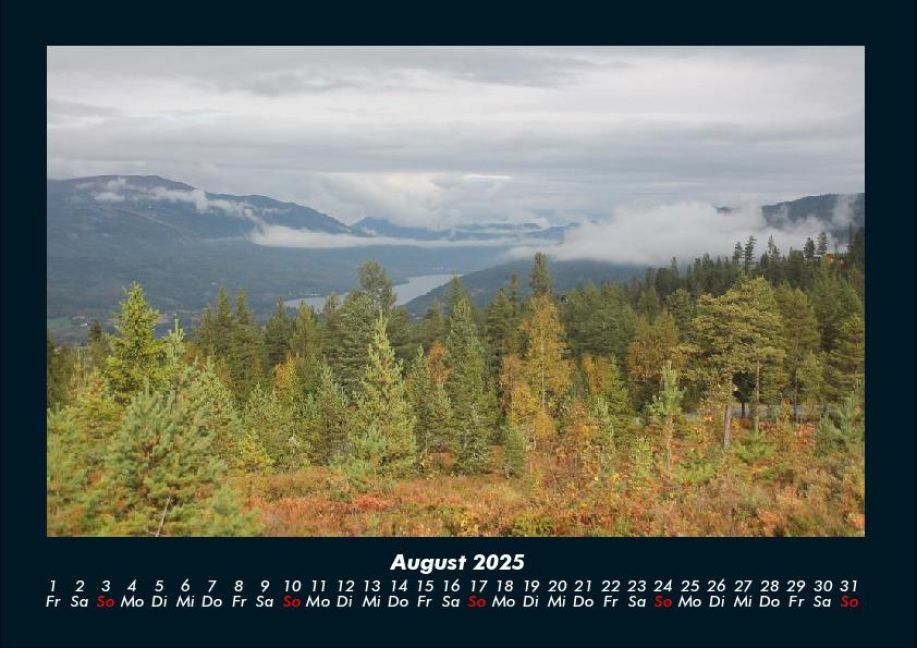 InsideView 12