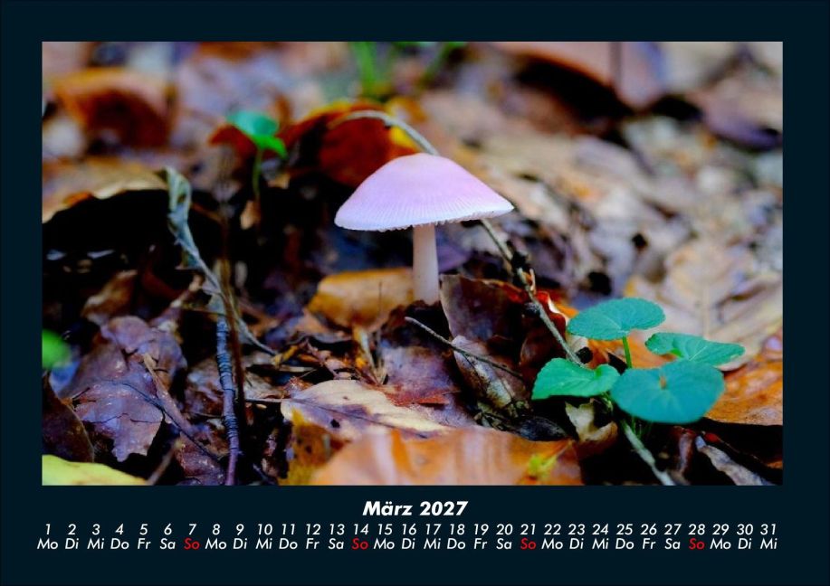 InsideView 7