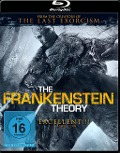 Cover-Bild zum Titel 'The Frankenstein Theory (Blu-R' von 'Andrew Weiner'
