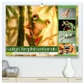 Lustige Amphibienbande (hochwertiger Premium Wandkalender 2025 DIN A2 quer), Kunstdruck in Hochglanz - Steffen Gierok-Latniak