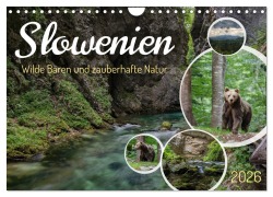 Slowenien - Wilde Bären und zauberhafte Natur (Wandkalender 2026 DIN A4 quer), CALVENDO Monatskalender - Robin Müller
