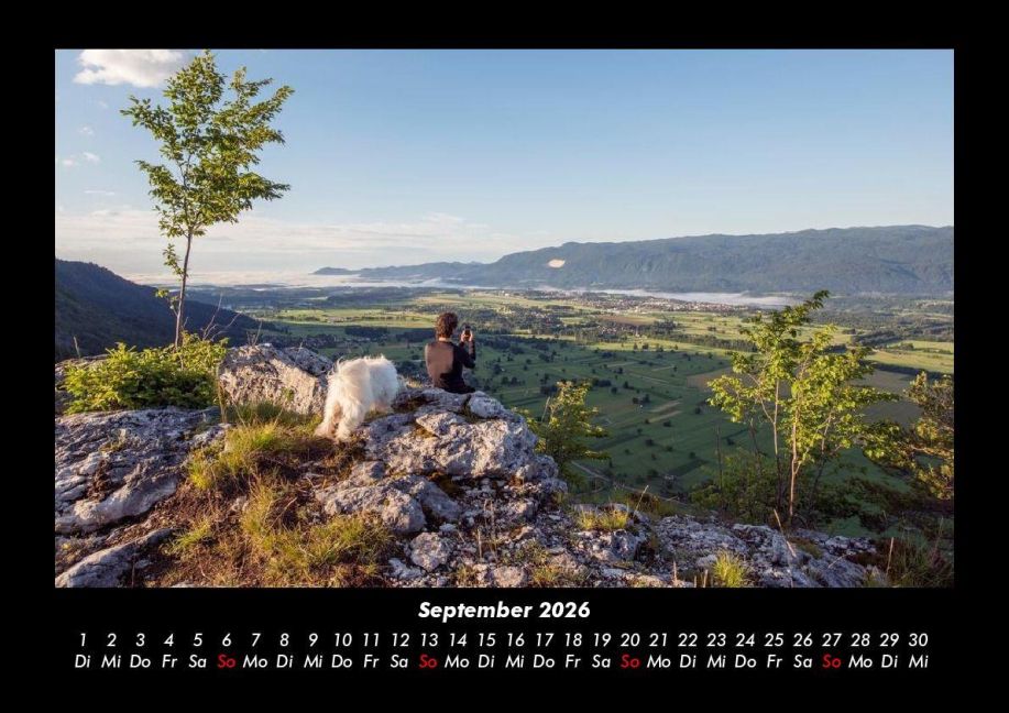 InsideView 1