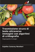 Cover-Bild zum Titel 'Trasmissione sicura di testo attraverso immagini con algoritmi di crittografia' von 'Sujatha Canavoy Narahari'