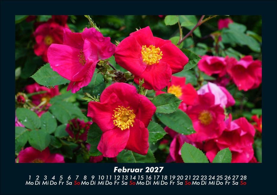 InsideView 6