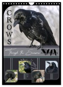 Cover-Bild zum Titel 'Crows - Through the Seasons (Wall Calendar 2026 DIN A4 portrait), CALVENDO 12 Month Wall Calendar' von 'Irene Saar'