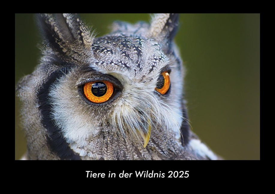 Tiere in der Wildnis 2025 Fotokalender DIN A3 - Tobias Becker