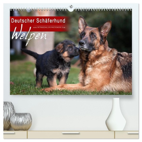 Deutscher Schäferhund - Welpen (hochwertiger Premium Wandkalender 2025 DIN A2 quer), Kunstdruck in Hochglanz - Petra Schiller